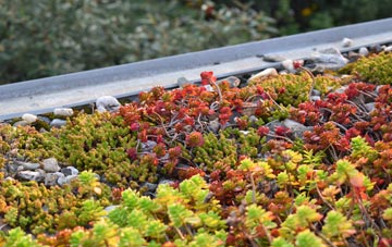 the cost of Llanycil green roof installation