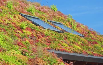 Llanycil living roof systems